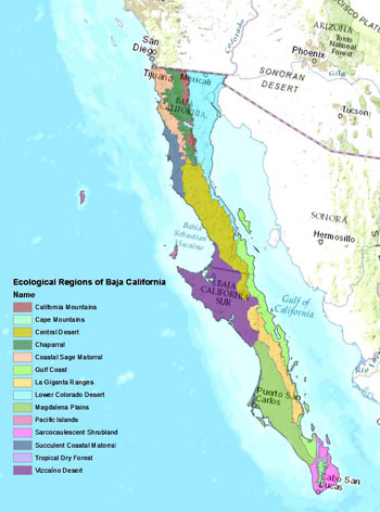 Baja Ecological Regions